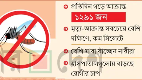 ডেঙ্গুর অর্ধেক মৃত্যুই ঢাকা বিভাগে