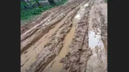 স্বাধীনতার পরও পাকা হয়নি সড়ক, দুর্ভোগে পাঁচ গ্রামের মানুষ
