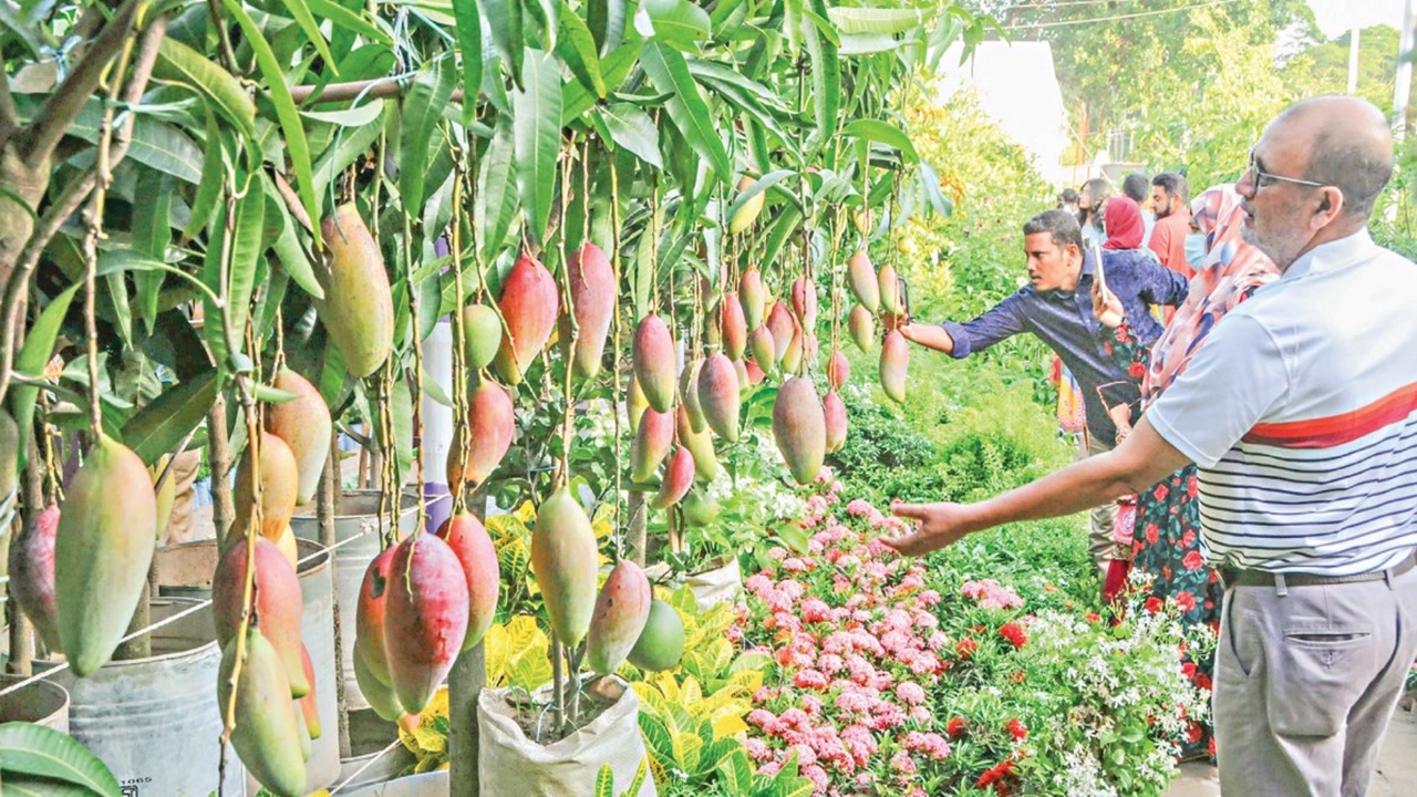 ইট-পাথরের নগরে হাজার প্রজাতির গাছের মুগ্ধতা