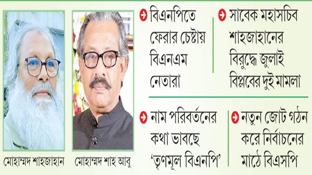 সক্রিয় হচ্ছে আলোচিত কয়েকটি ‘কিংস পার্টি’