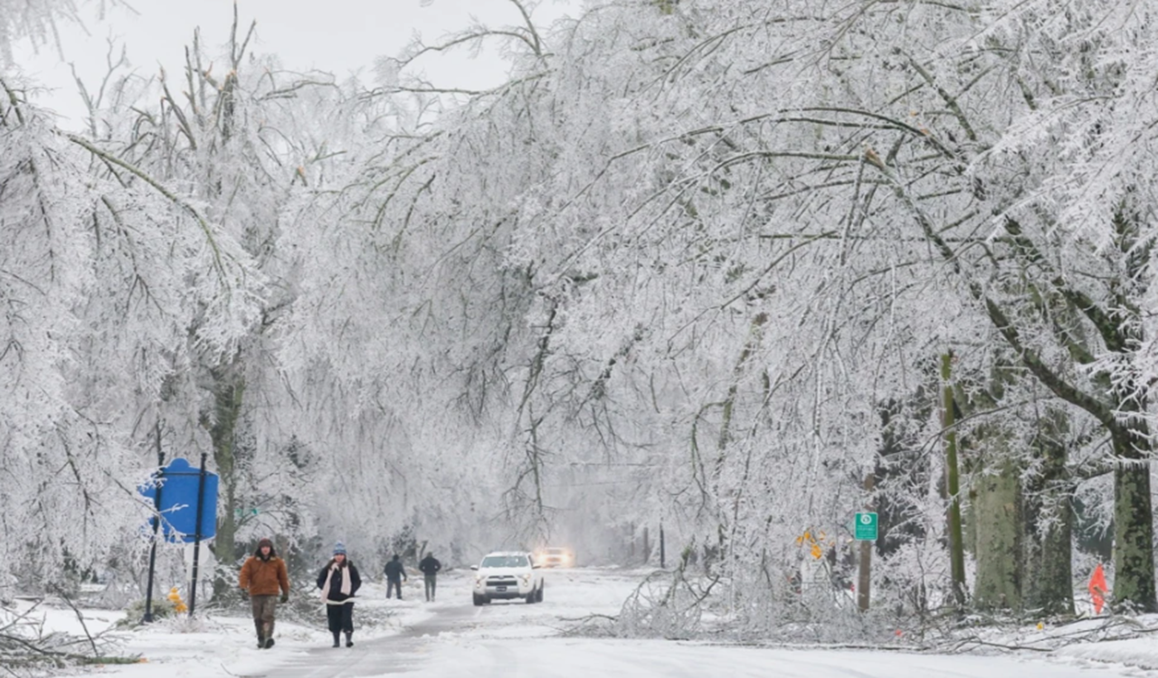 ভয়াবহ তুষারঝড়ে বিপর্যস্ত যুক্তরাষ্ট্র, নিহত অন্তত ৩০
