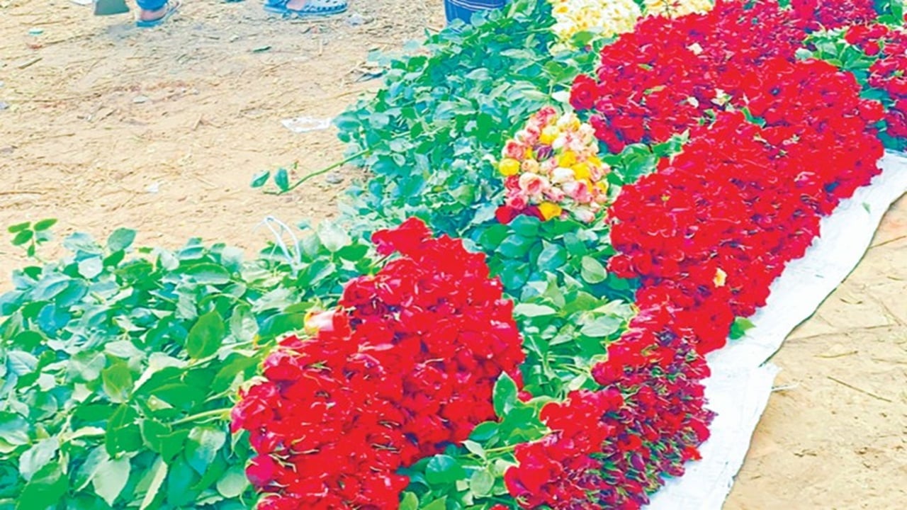 জাতীয় নির্বাচনের প্রভাবে গদখালীর ফুলবাজারে ধস