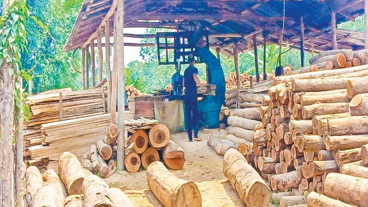 শতাধিক করাতকলে লোহাগাড়ায় উজাড় হচ্ছে বনাঞ্চল