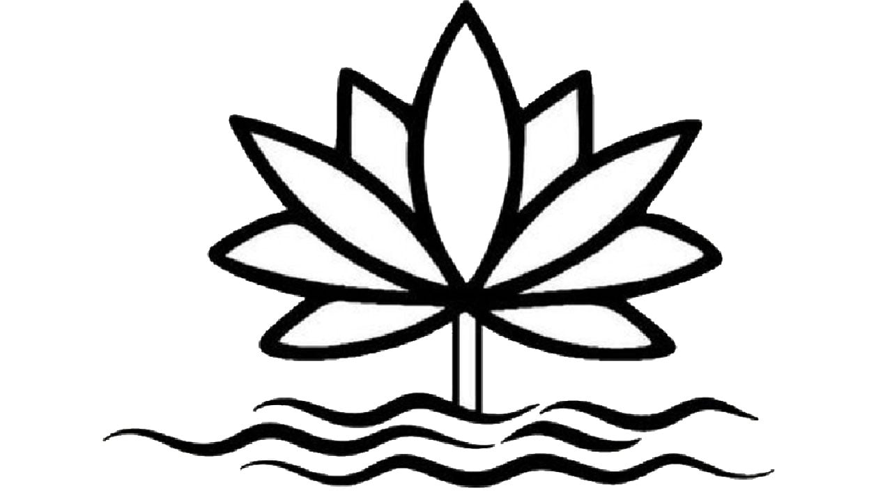 শাপলা প্রতীক বিতর্কে মুখ খুললেন সিইসি