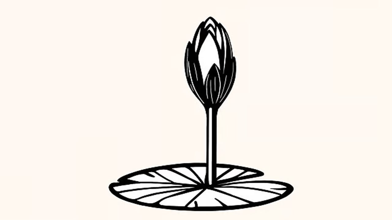 ‘শাপলা কলি’ প্রতীকের ছবি প্রকাশ করল এনসিপি