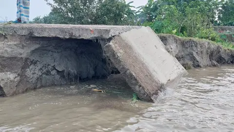 চোখের সামনে নদীগর্ভে বিলীন হচ্ছে বসতভিটা, আকুতি নদীপাড়ের মানুষের