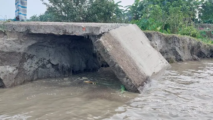 চোখের সামনে নদীগর্ভে বিলীন হচ্ছে বসতভিটা, আকুতি নদীপাড়ের মানুষের