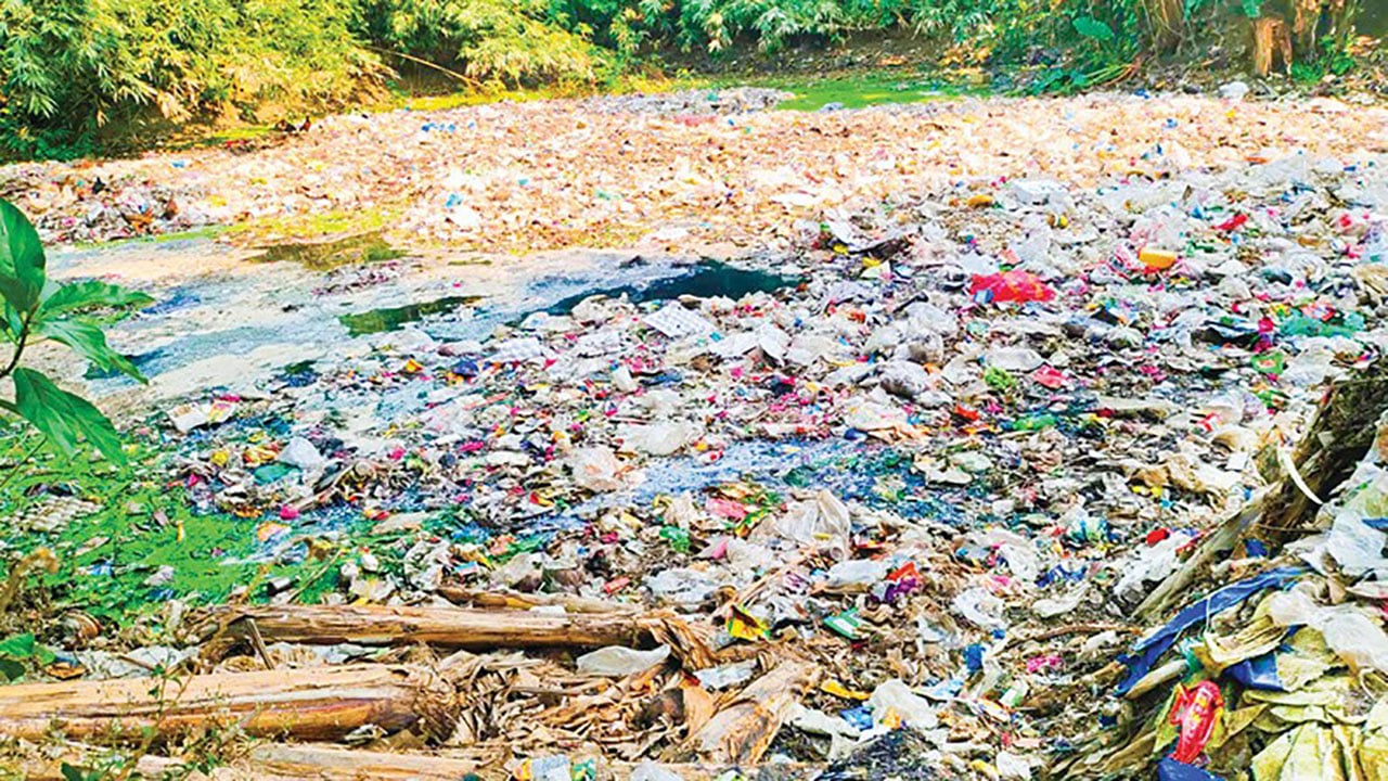 শ্রীবরদীতে নেই ডাম্পিং স্টেশন দুর্ভোগে পৌরবাসী