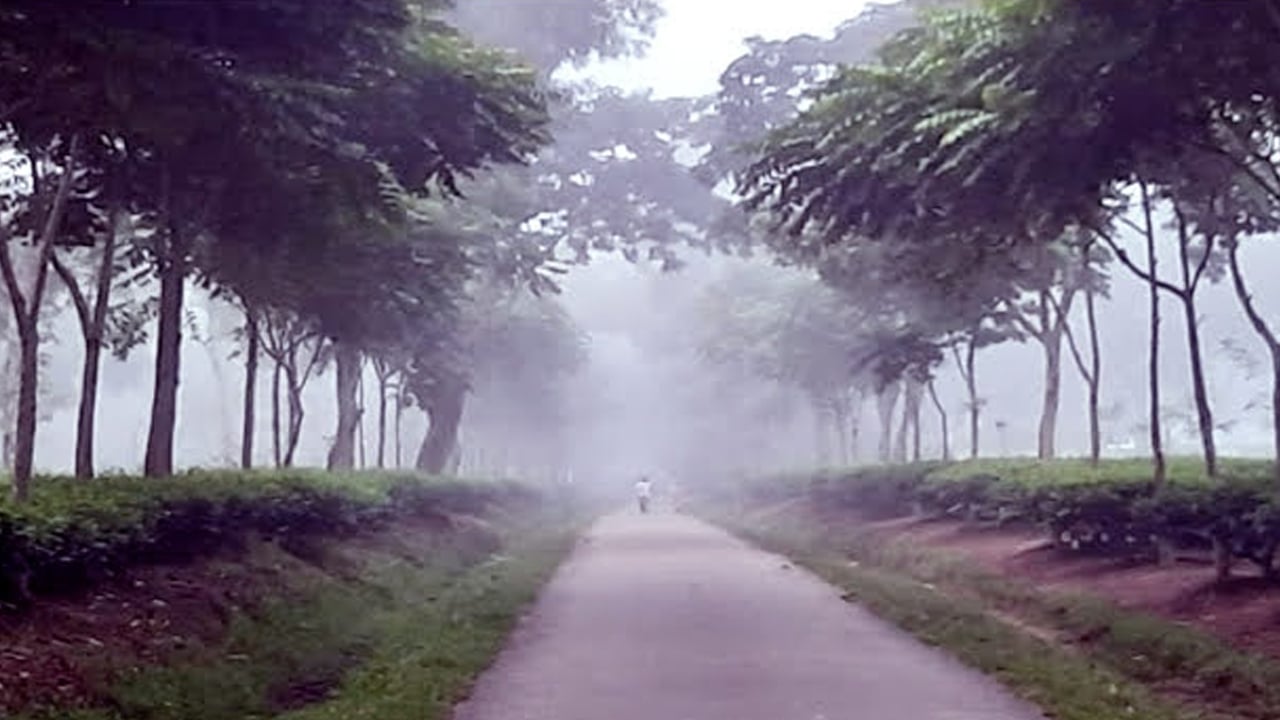 শ্রীমঙ্গলে তাপমাত্রা ১১.৮ ডিগ্রিতে, শীতে বিপর্যস্ত জনজীবন