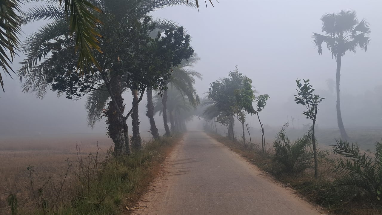শ্রীমঙ্গলে তাপমাত্রা ১০.৪ ডিগ্রির ঘরে, কুয়াশায় স্থবির জনজীবন