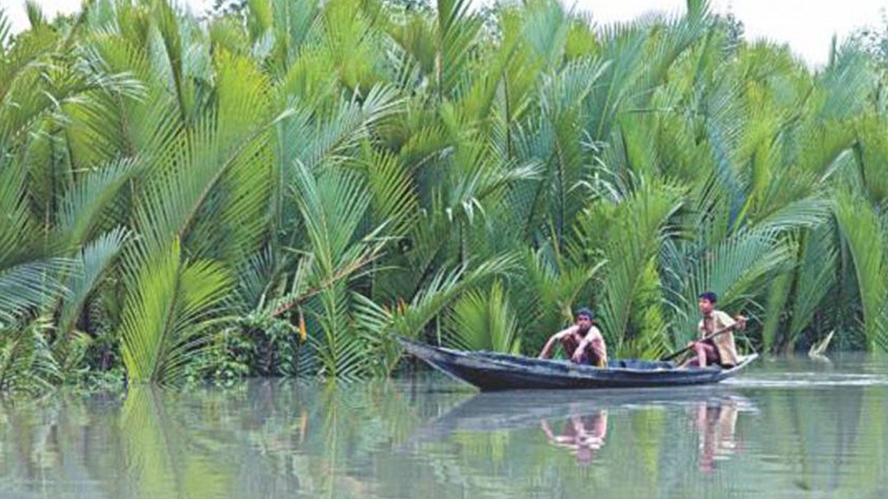 মুক্তিপণ দিয়ে ফিরেছেন ১৪ জেলে, এখনো ১২ জেলে দস্যুদের কবলে