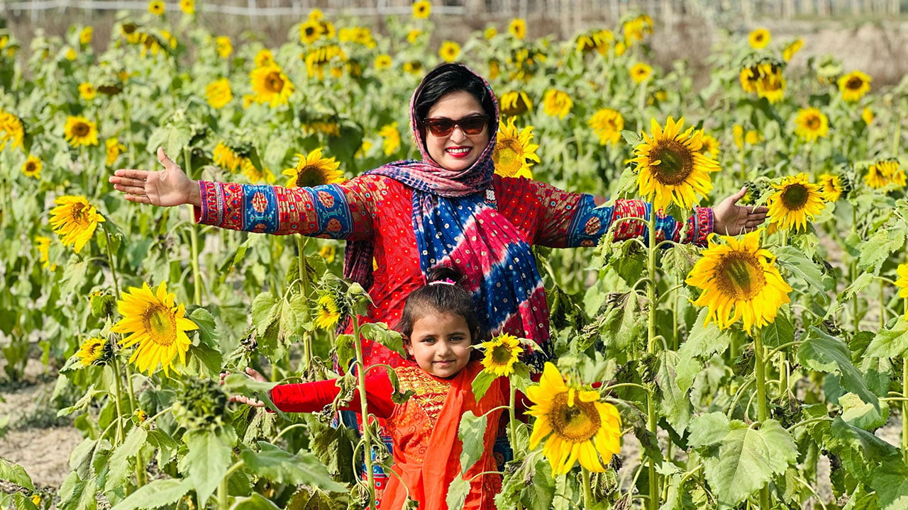 Sunflower-flowers-2