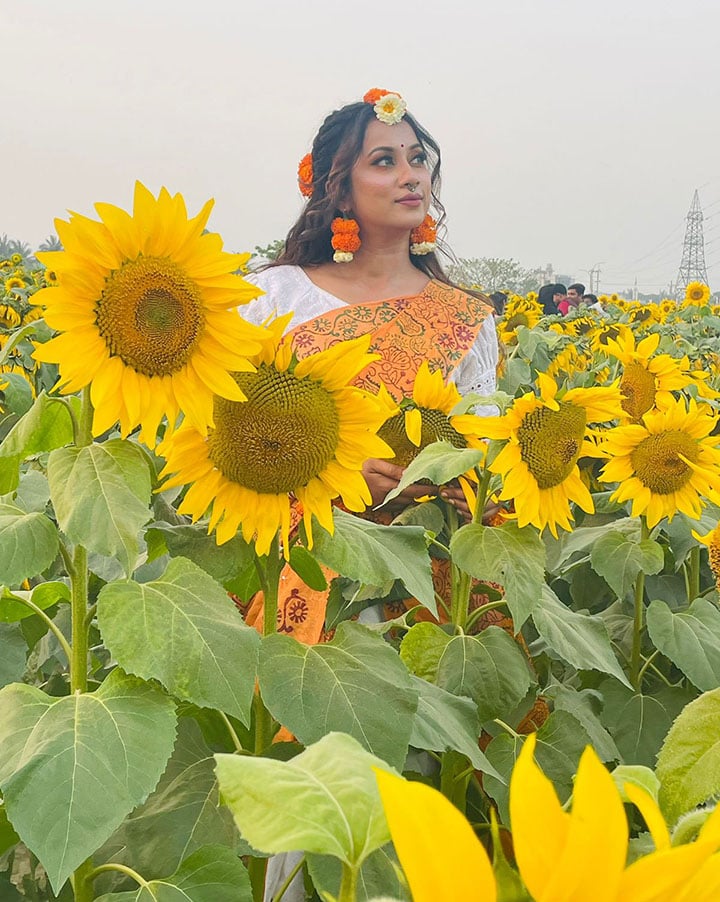Sunflower-flowers-4