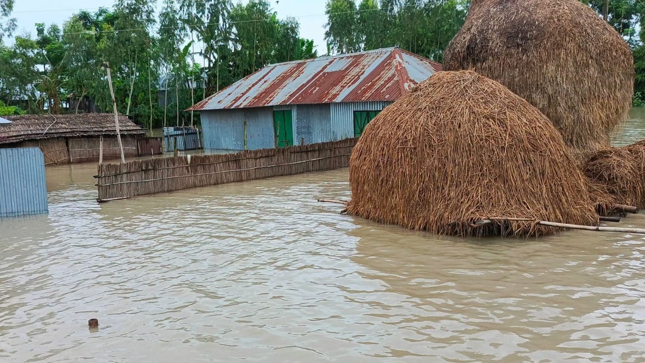 তিস্তার পানি নামলেও কাটেনি দুর্ভোগ, নতুন করে নদীভাঙনের আতঙ্ক