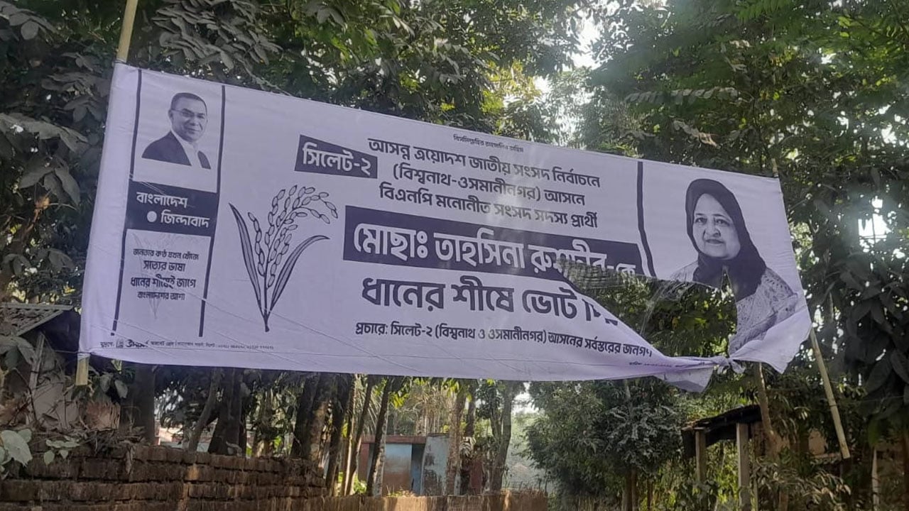 প্রচারণার শেষ দিনে লুনার নির্বাচনি ব্যানার ছেঁড়ার অভিযোগ