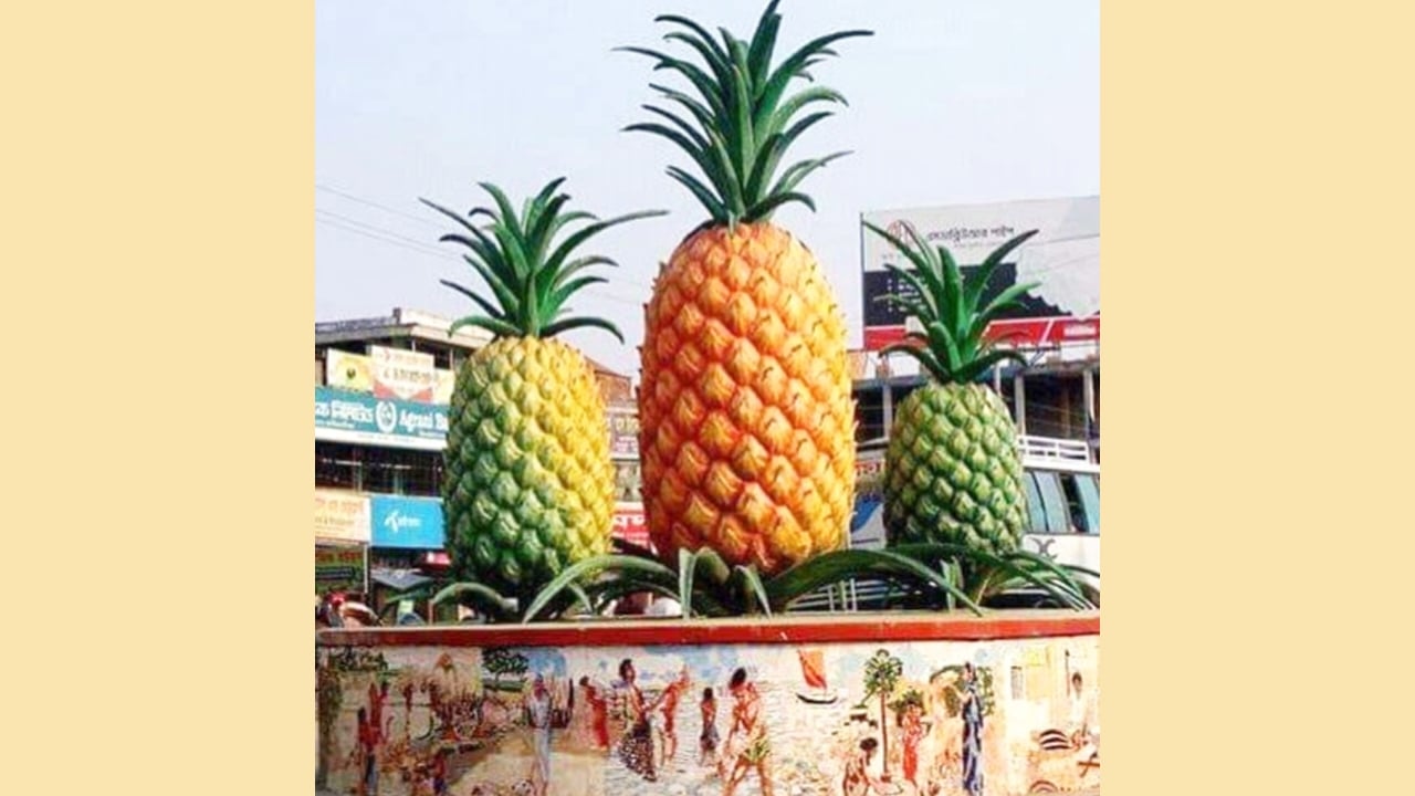 মধুপুর-ধনবাড়ী ১৪৮ কেন্দ্রের মধ্যে ২৭টি ঝুঁকিপূর্ণ