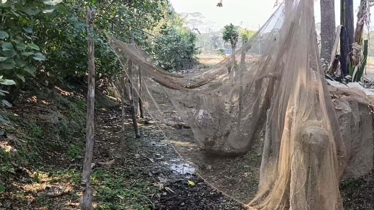 তালতলীতে অস্তিত্ব সংকটে ৭১ খাল, বিপাকে স্থানীয় কৃষকরা