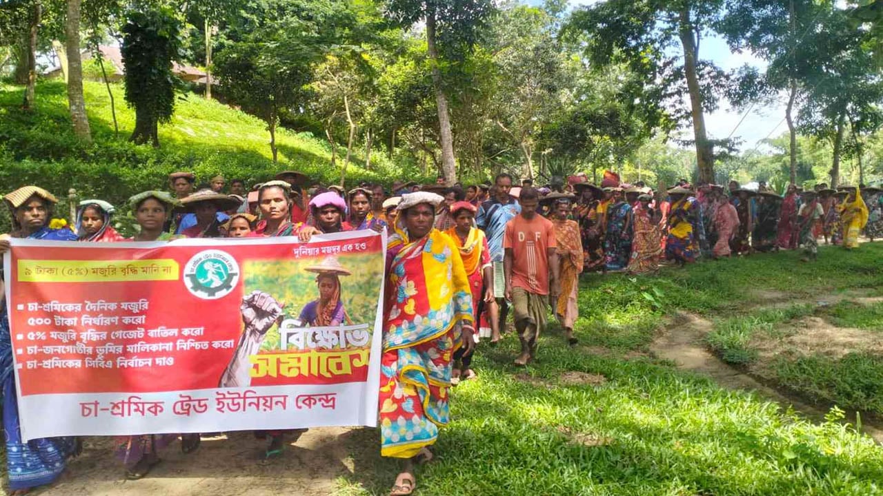 কুলাউড়ায় চা-শ্রমিকদের ৫০০ টাকা মজুরি বৃদ্ধির দাবিতে বিক্ষোভ সমাবেশ
