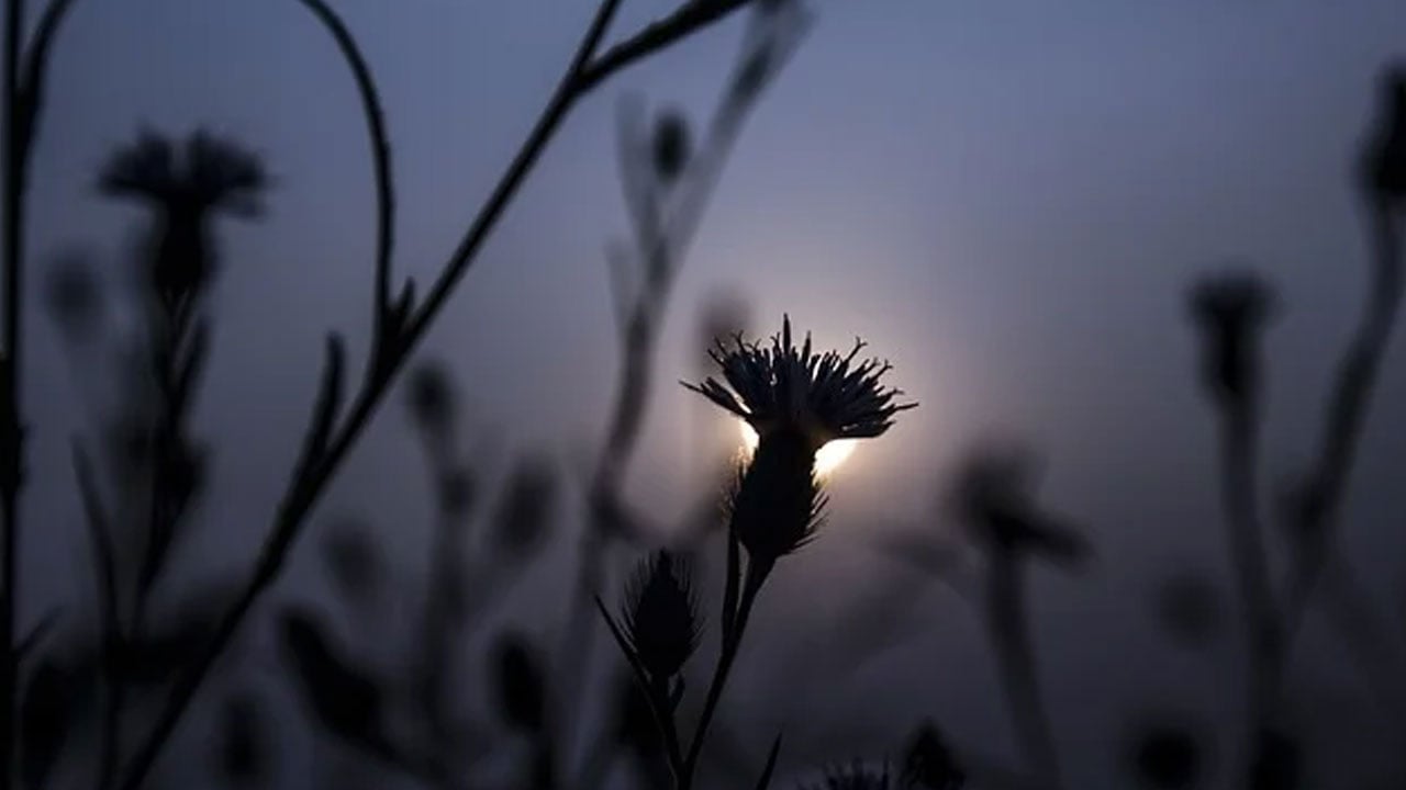 ১৩ তম তারাবি: দাওয়াতের কাজে চাই অবিচলতা