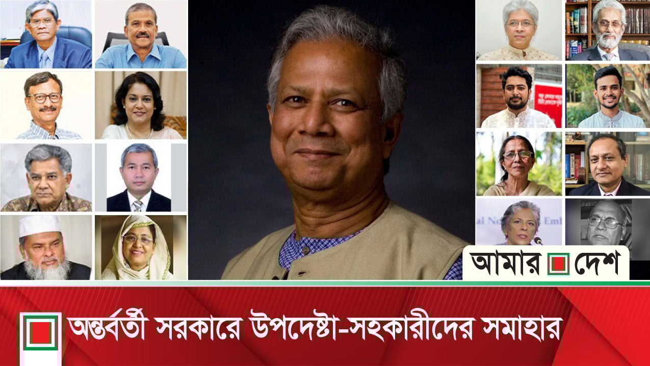 মাহমুদুর রহমানের মন্তব্য প্রতিবেদন, অন্তর্বর্তী সরকারে উপদেষ্টা-সহকারীদের সমাহার