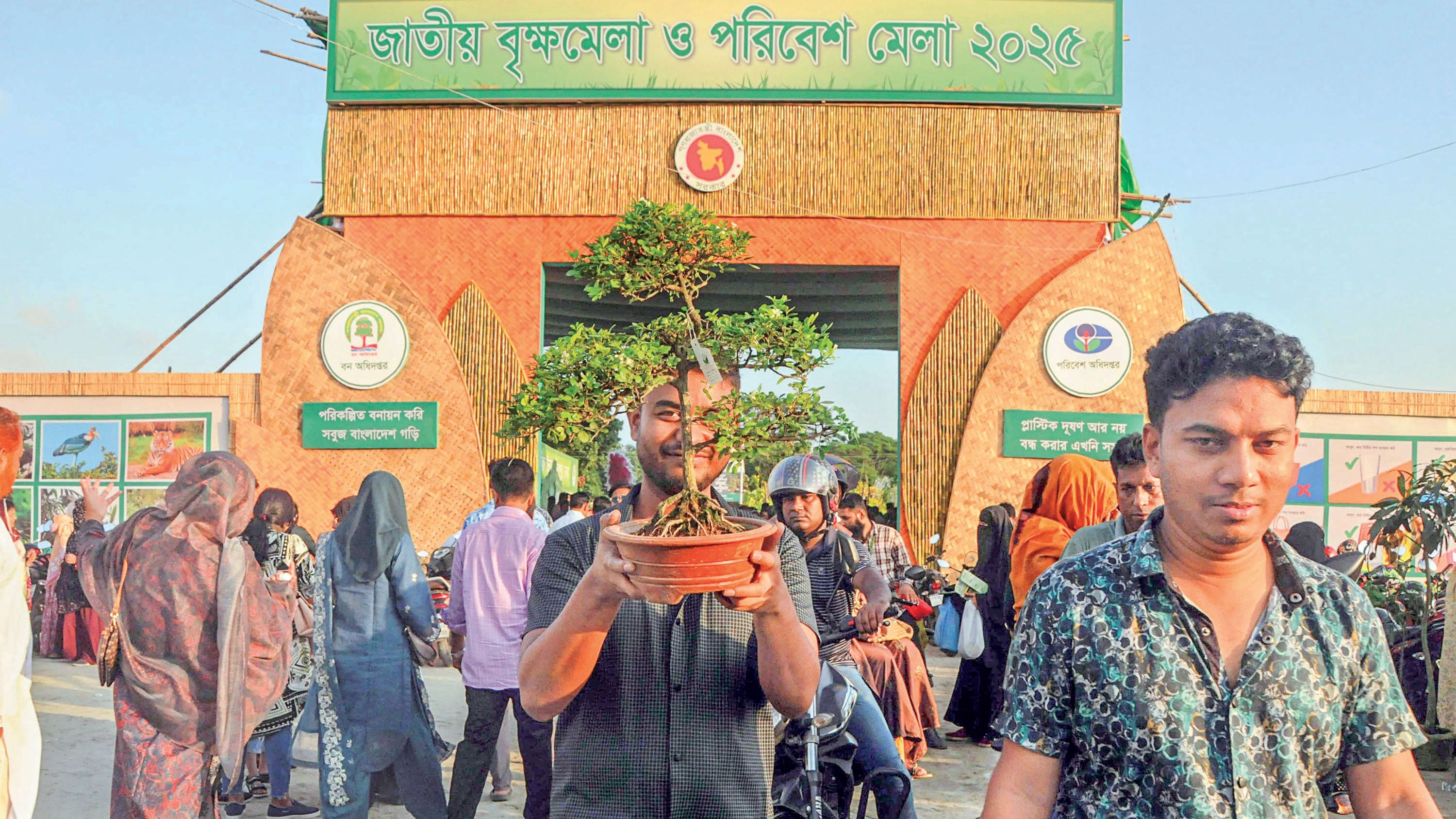Tree-Fair-3