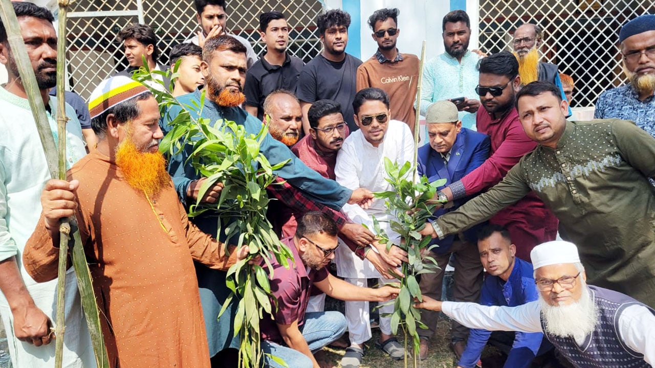 বিজয় মিছিলের বদলে বিএনপির বৃক্ষরোপণ কর্মসূচি