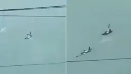 মাঝআকাশে দুই বিমানের সংঘর্ষ, এরপর যা হলো