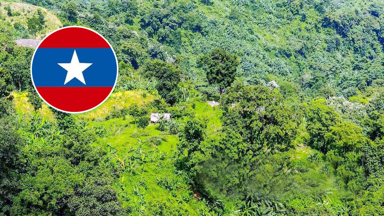 গোয়েন্দা সংস্থার সতর্কতা আমলে নেননি হাসিনা