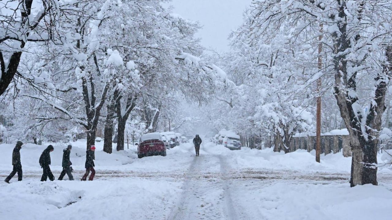 তুষারে ঢাকা যুক্তরাষ্ট্রের উত্তরপূর্বাঞ্চল, যোগাযোগ ব্যবস্থায় বিপর্যয়