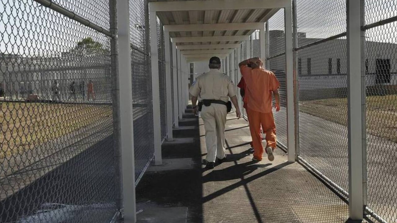 ৮০ হাজার অভিবাসীকে গুদামে রাখার পরিকল্পনা ট্রাম্পের