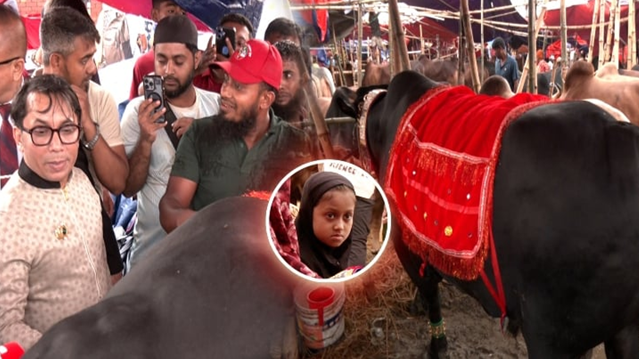 খালেদা জিয়ার নামেই কোরবানি হবে ‘কালো মানিক’