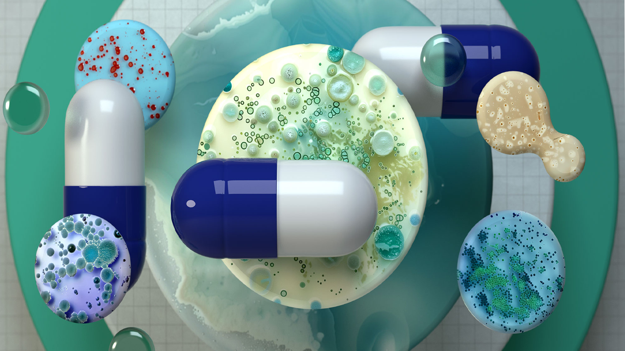 অ্যান্টিবায়োটিক কেন কার্যকারিতা হারায়