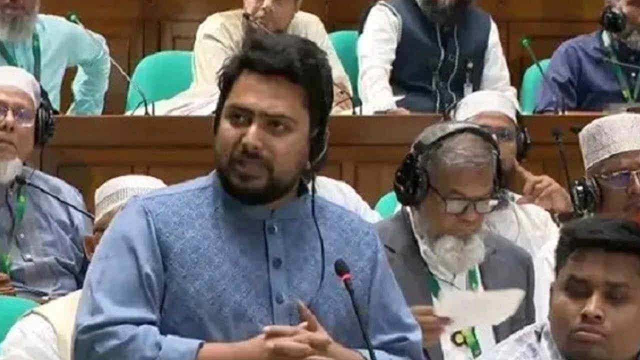 সংসদের কার্যক্রম দেখলে মনে হচ্ছে গণভোট হয়নি: নাহিদ