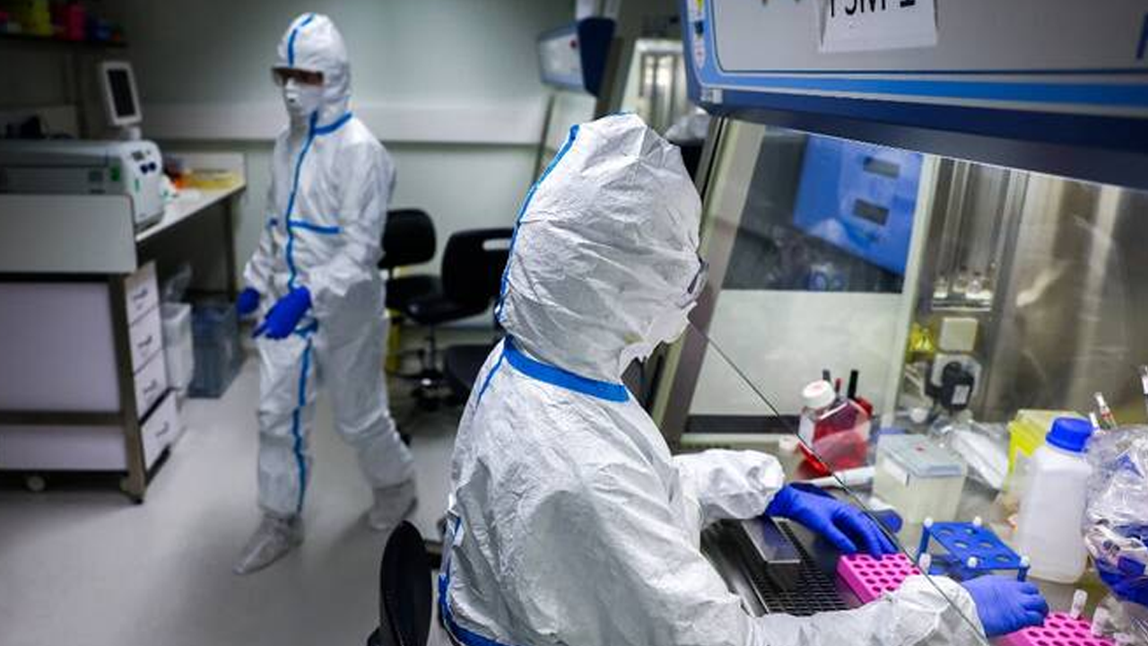 করোনা নাকি বার্ড ফ্লু বেশি ঝুঁকি, যা বলছে গবেষণা