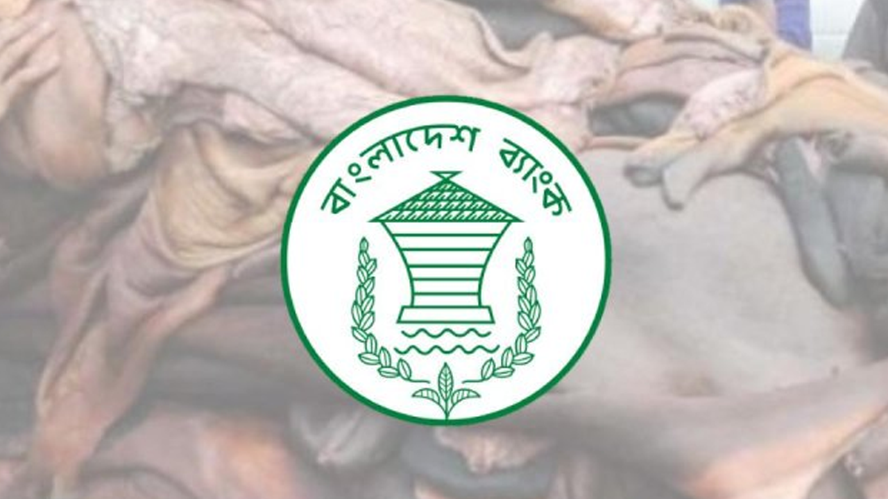 চামড়া খাতে ঋণ দিতে কেন্দ্রীয় ব্যাংকের বিশেষ ছাড়