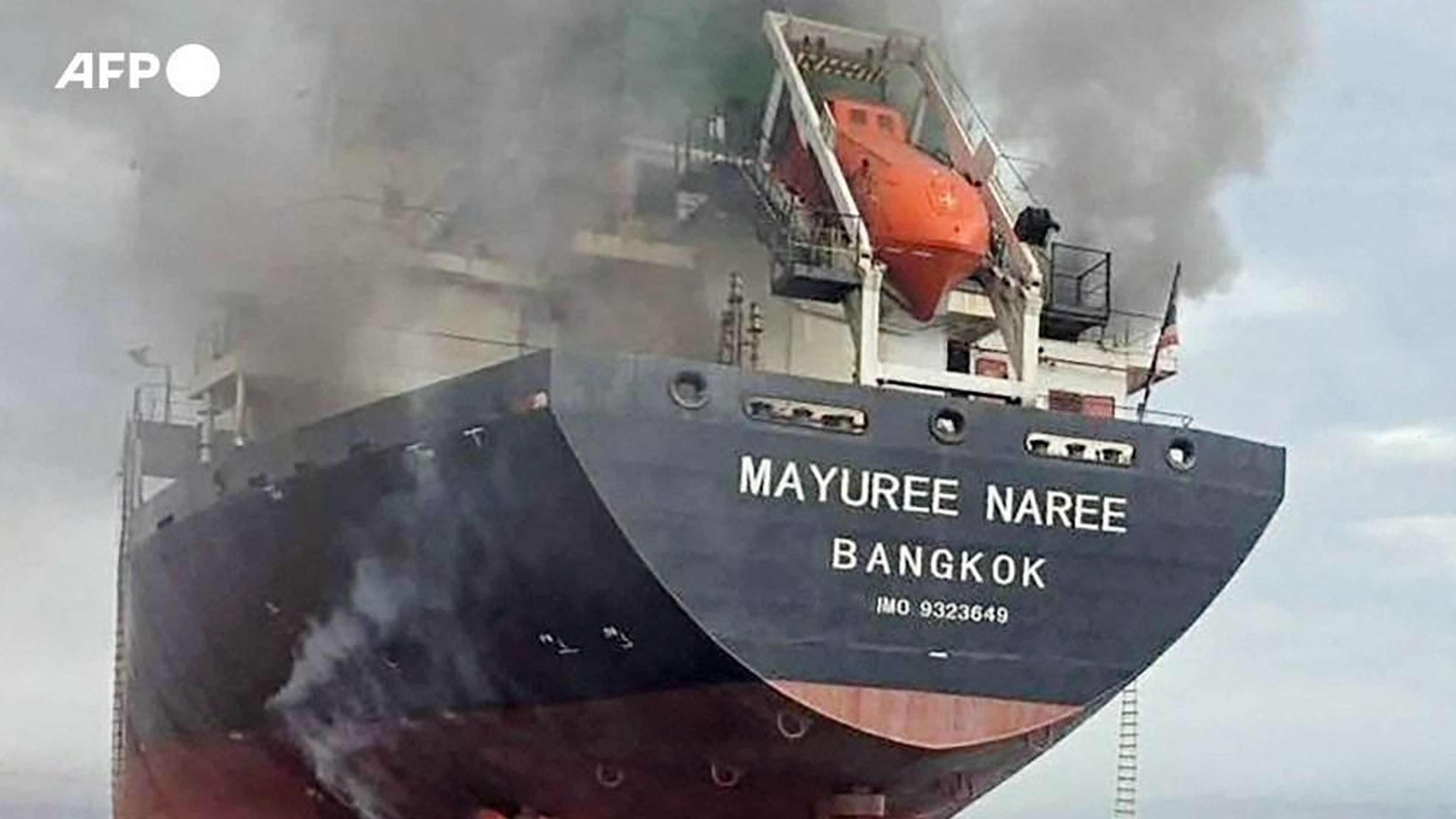 হরমুজ প্রণালিতে ভারতগামী থাই জাহাজে হামলা