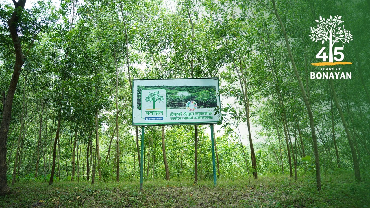 সবুজ বাংলাদেশের স্বপ্ন সারথি: বনায়নের চার দশকের অগ্রযাত্রা