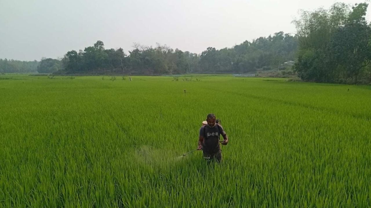 মৌলভীবাজারের জুড়ি উপজেলার কৃষকরাও পাচ্ছেন কৃষক কার্ড