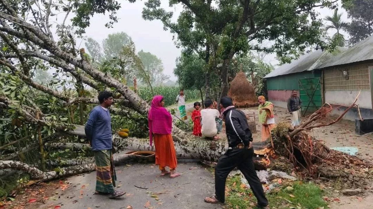 নীলফামারীতে কালবৈশাখীর তাণ্ডব, ২ শতাধিক বাড়িঘর ক্ষতিগ্রস্ত