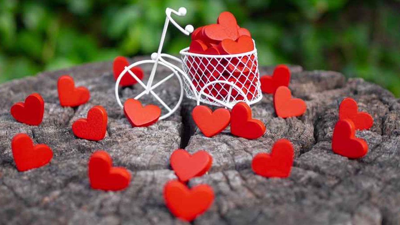 ‘ভালোবাসা’ দিবস