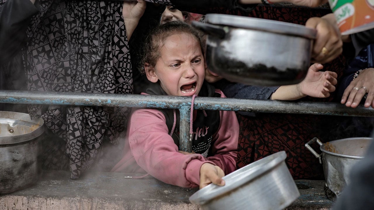 কয়েকদিন ধরে না খেয়ে আছে গাজার এক-তৃতীয়াংশ মানুষ: ডব্লিউএফপি