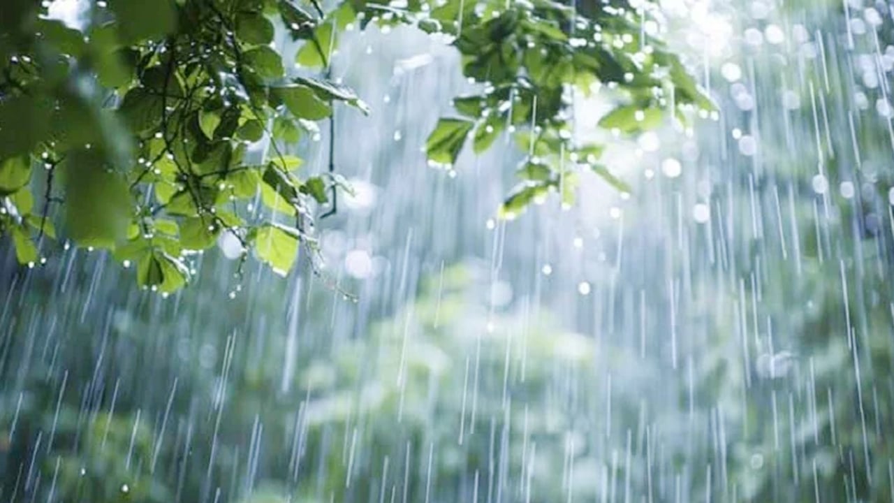 কোন কোন জেলায় বৃষ্টি হতে পারে, জানাল আবহাওয়া অধিদপ্তর