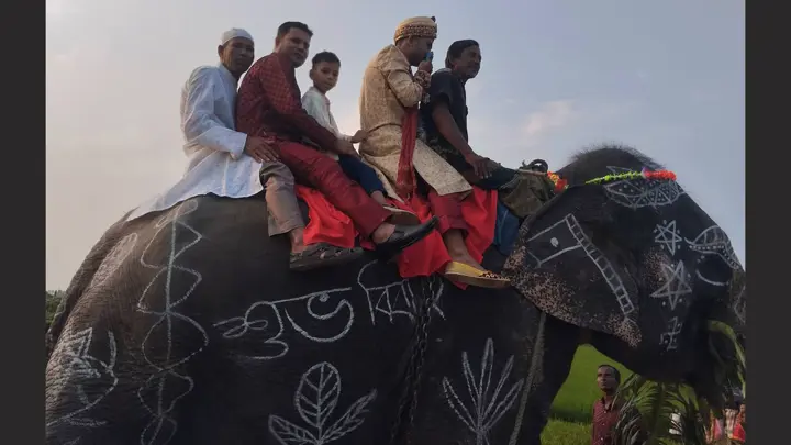 মায়ের ইচ্ছে পূরণে হাতির পিঠে চড়ে বিয়ে করতে গেলেন যুবক