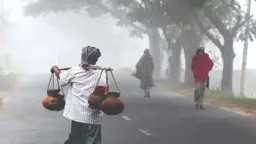 এবার শীত কম পড়বে, কত দিন স্থায়ী হবে শীতকাল