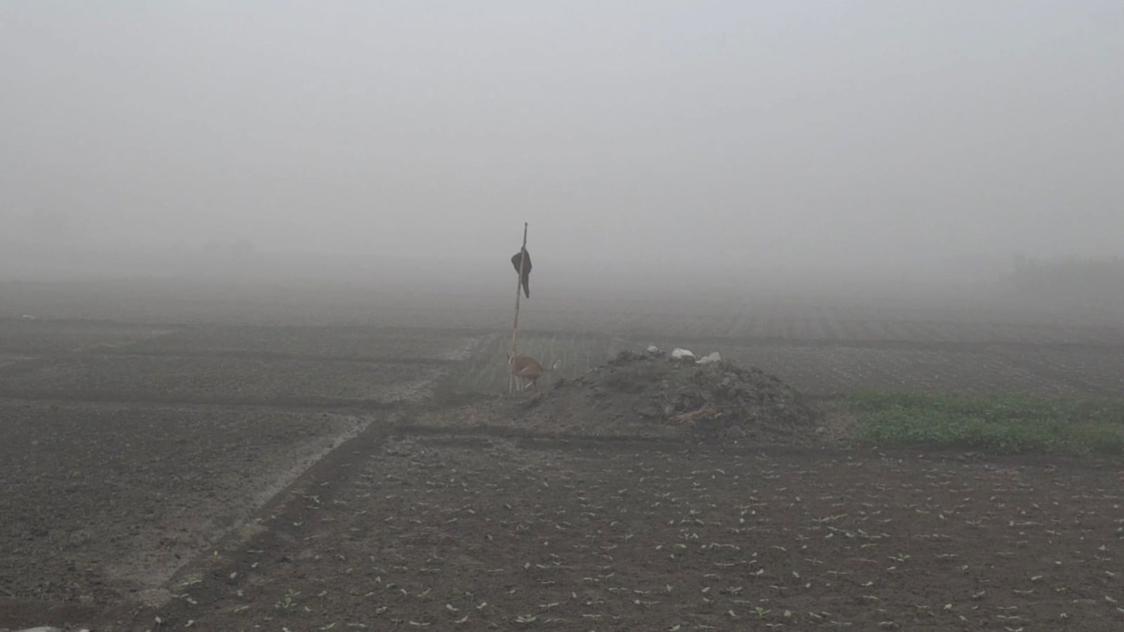 শীতে কাঁপছে দেশ, ৭৩ বছরের মধ্যে দুর্যোগপূর্ণ আবহাওয়া