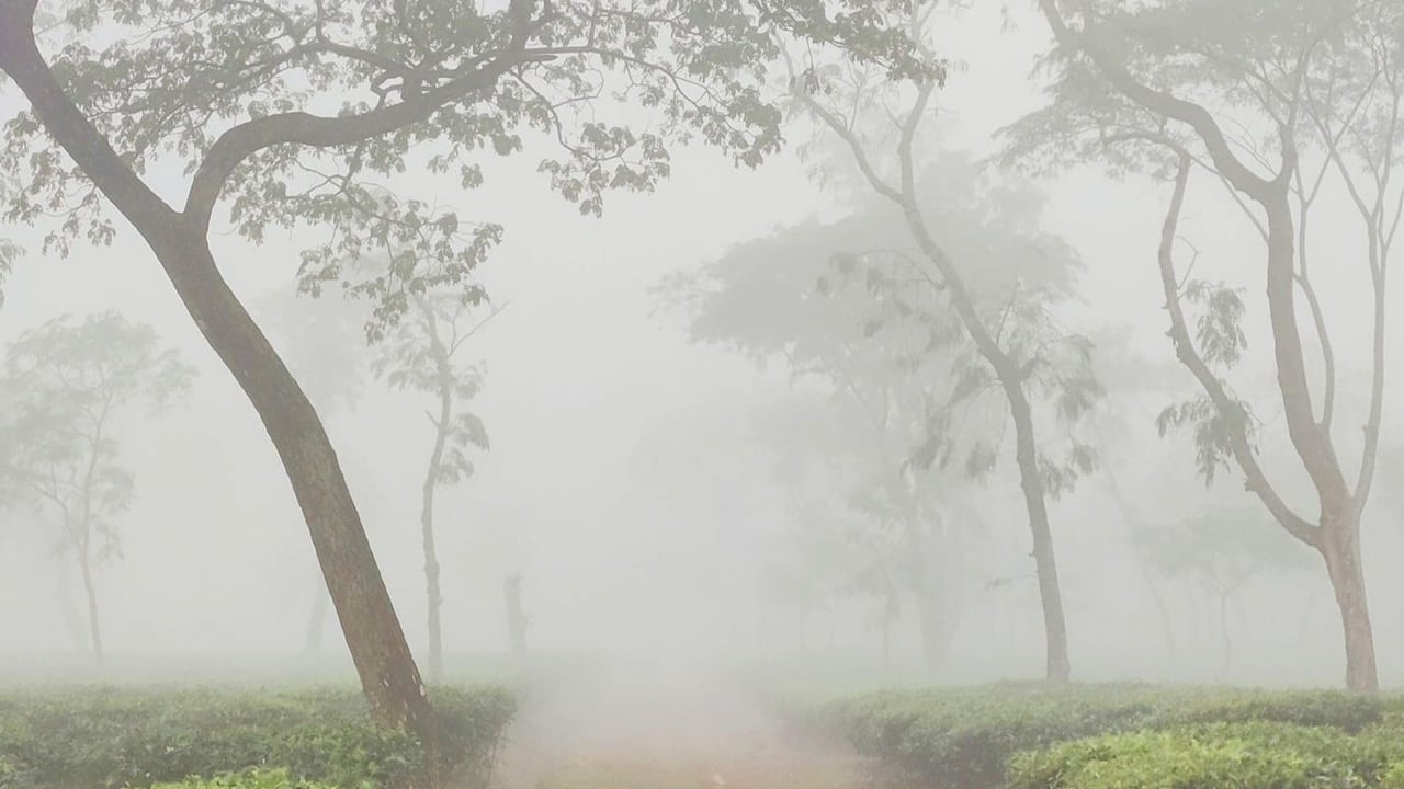 শ্রীমঙ্গলে সর্বনিম্ন তাপমাত্রা ৯.৬ ডিগ্রি, জনজীবনে দুর্ভোগ