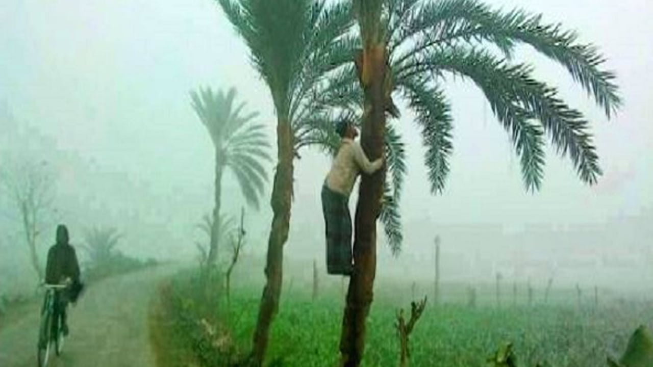 শ্রীমঙ্গলে বেড়েছে শীতের প্রকোপ, তাপমাত্রা ৯.৬ ডিগ্রি