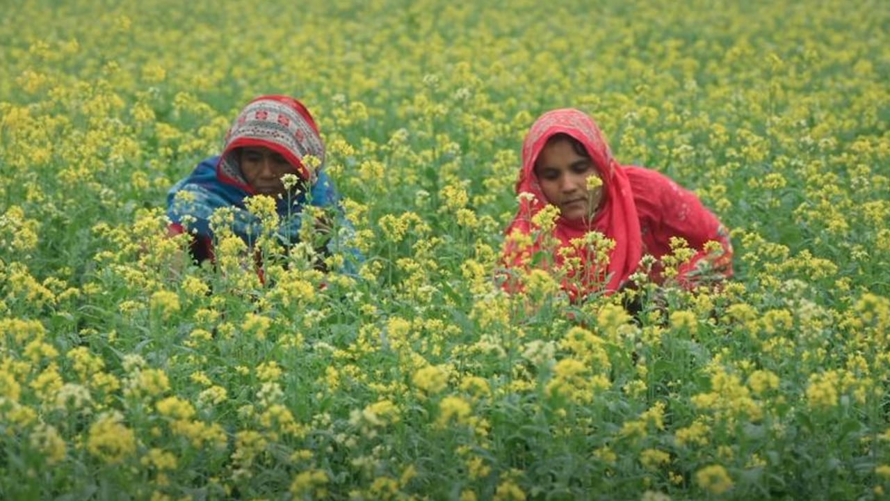 নারী ভোটারদের মধ্যে সচেতনতা বাড়াতে বিশেষ টিভিসি প্রকাশ