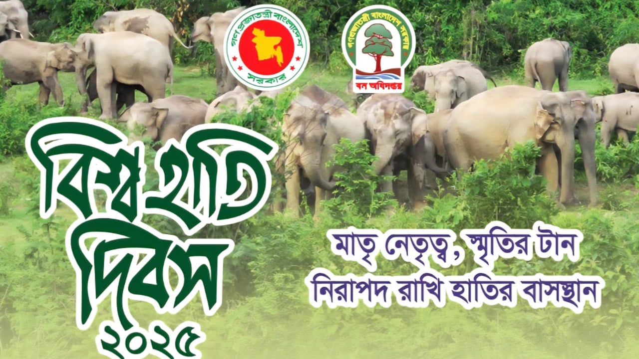 বিপন্ন হাতির জন্য নিরাপদ আবাসস্থল নিশ্চিত করা আমাদের নৈতিক দায়িত্ব