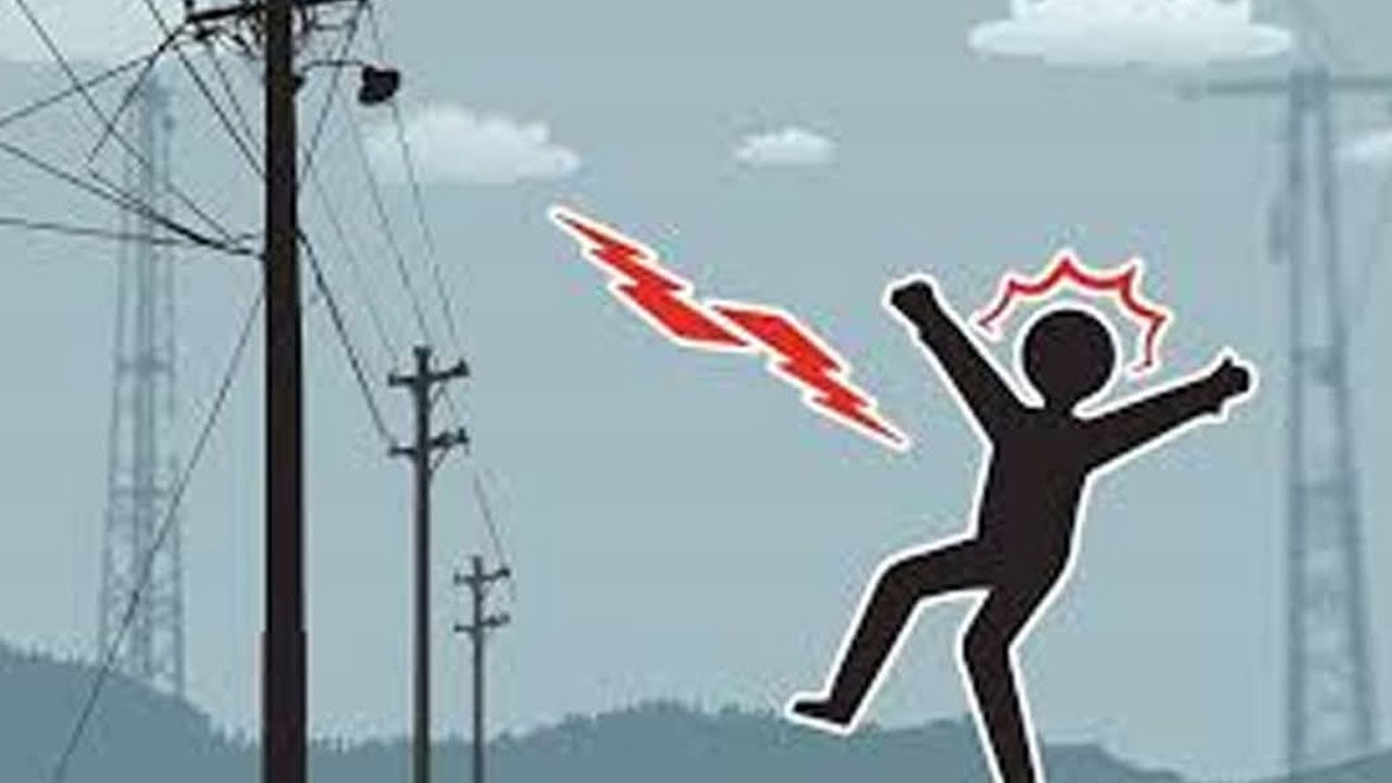 বোয়ালখালীতে মুরগির খামারে বিদ্যুৎস্পৃষ্টে যুবকের মৃত্যু